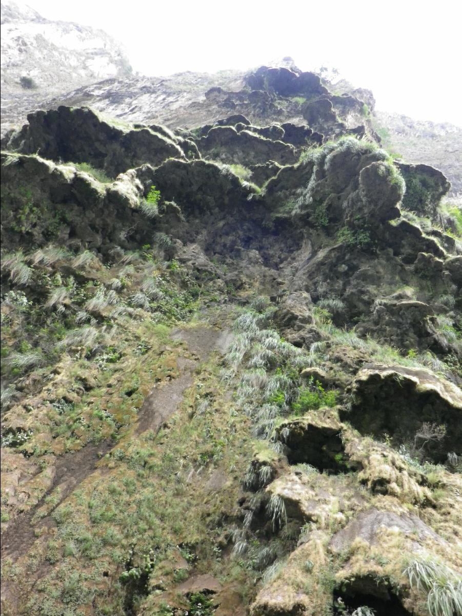 Sumidero Canyon near Tuxtla Gutierrez143